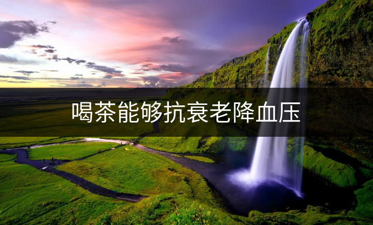 喝茶能夠抗衰老降血壓