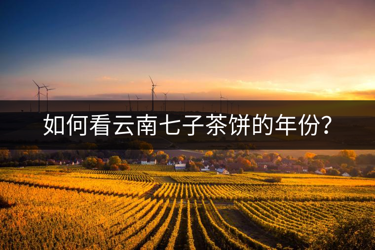 如何看云南七子茶餅的年份？
