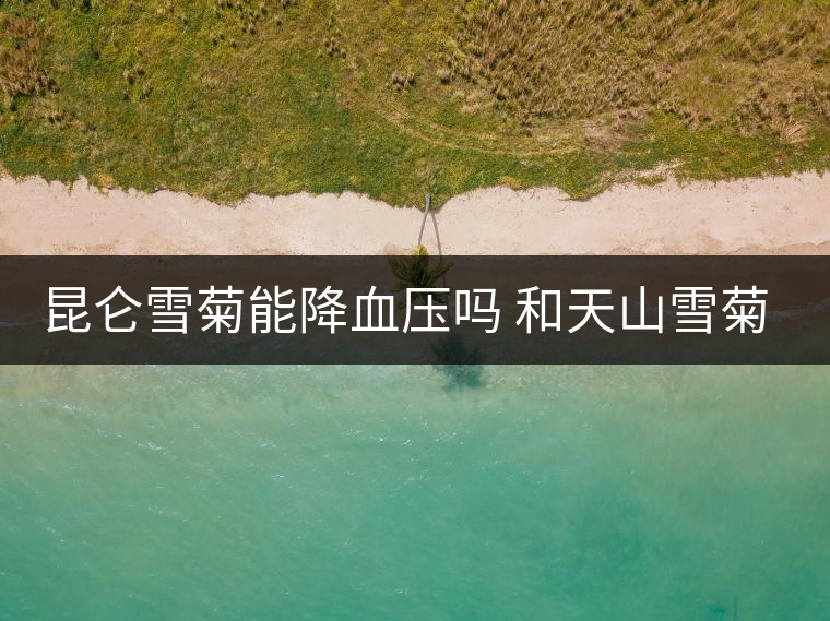 昆侖雪菊能降血壓嗎 和天山雪菊的區別 昆侖雪菊能降血壓嗎 和天山雪菊的區別