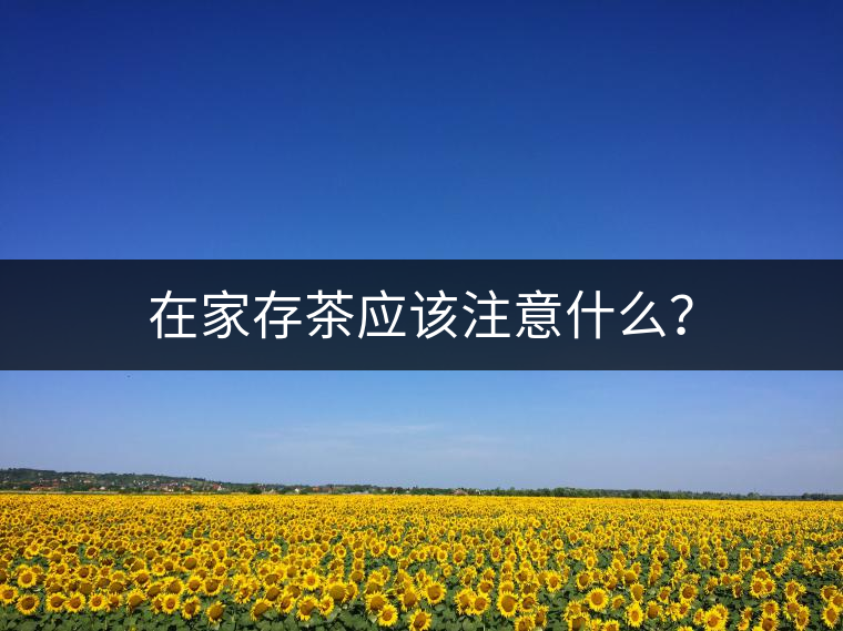 在家存茶應該注意什么？
