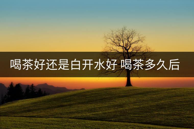 喝茶好還是白開水好 喝茶多久后可以吃中藥 喝茶好還是白開水好 喝茶多久后可以吃中藥