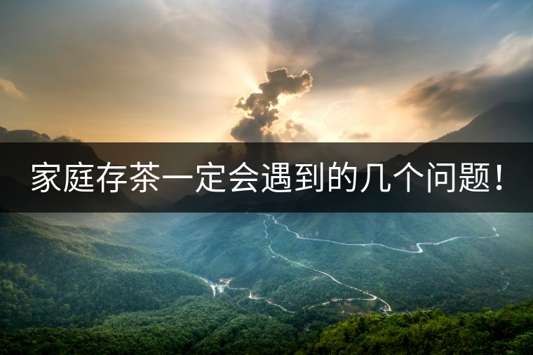 家庭存茶一定會遇到的幾個問題! 家庭存茶一定會遇到的幾個問題!