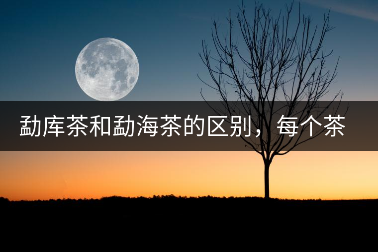 勐庫茶和勐海茶的區(qū)別，每個茶友都該了解的選茶常識！