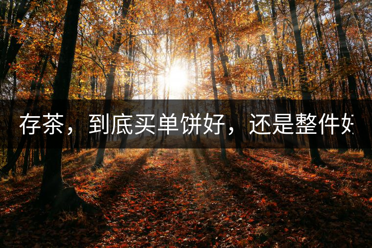 存茶,到底買(mǎi)單餅好,還是整件好? 存茶,到底買(mǎi)單餅好,還是整件好?