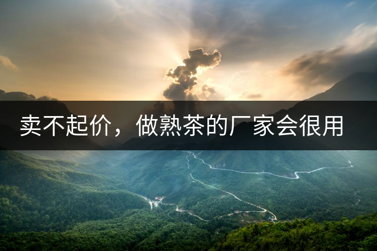 賣不起價,做熟茶的廠家會很用心生產(chǎn)熟茶嗎? 賣不起價,做熟茶的廠家會很用心生產(chǎn)熟茶嗎?