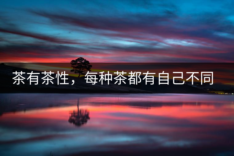 茶有茶性，每種茶都有自己不同的正確泡法
