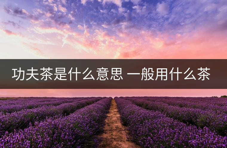 功夫茶是什么意思 一般用什么茶葉 功夫茶是什么意思 一般用什么茶葉