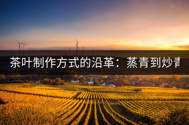 茶葉制作方式的沿革:蒸青到炒青! 茶葉制作方式的沿革:蒸青到炒青!