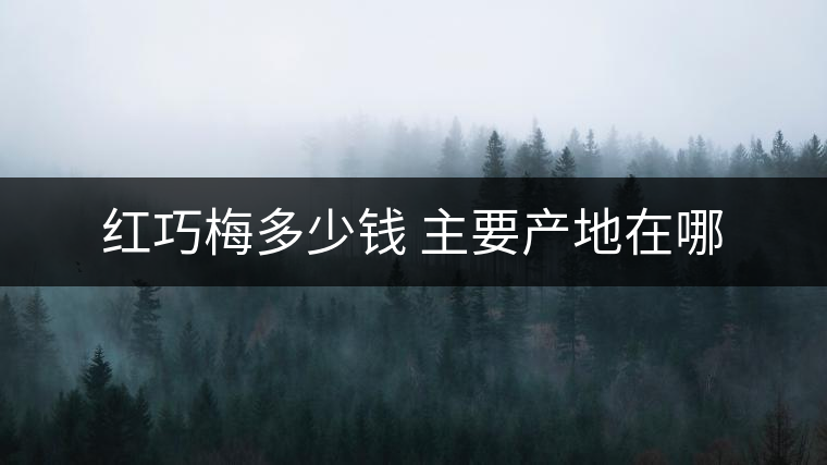 紅巧梅多少錢 主要產地在哪 紅巧梅多少錢 主要產地在哪
