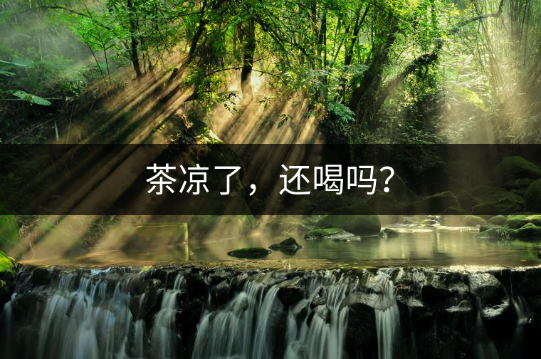 茶涼了，還喝嗎？