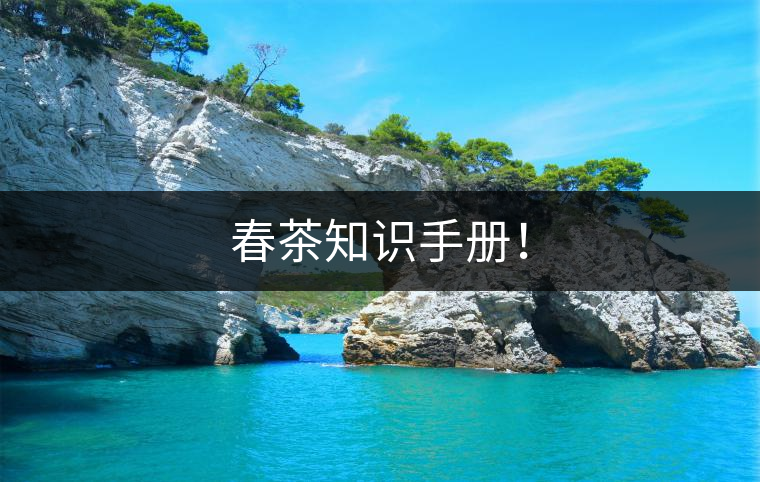 春茶知識手冊! 春茶知識手冊!