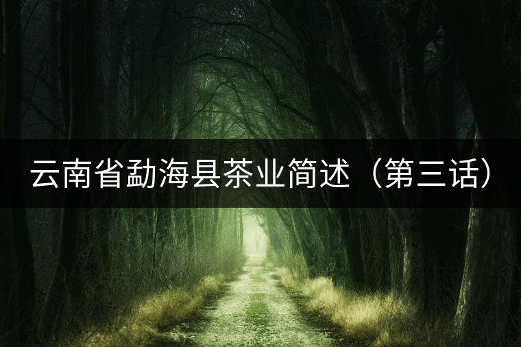 云南省勐海縣茶業簡述(第三話) 云南省勐海縣茶業簡述(第三話)