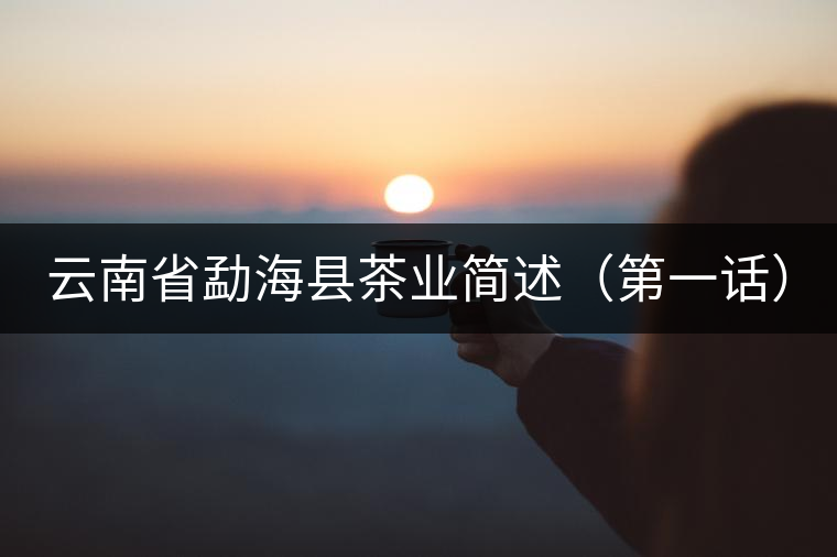 云南省勐海縣茶業簡述(第一話) 云南省勐海縣茶業簡述(第一話)