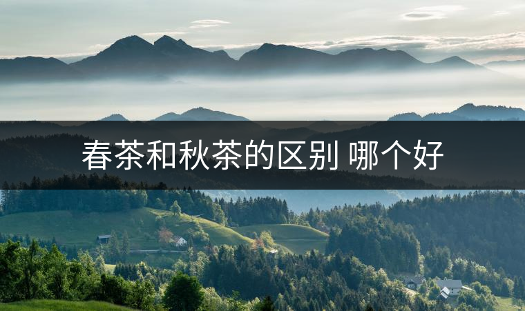 春茶和秋茶的區別 哪個好