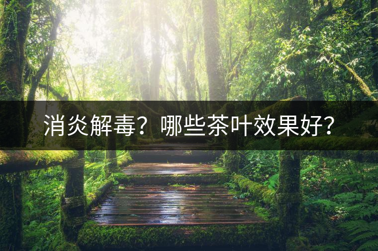消炎解毒？哪些茶葉效果好？