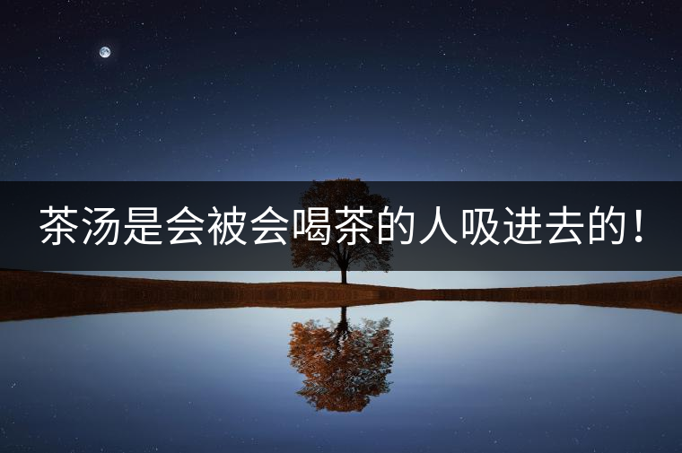 茶湯是會被會喝茶的人吸進去的！