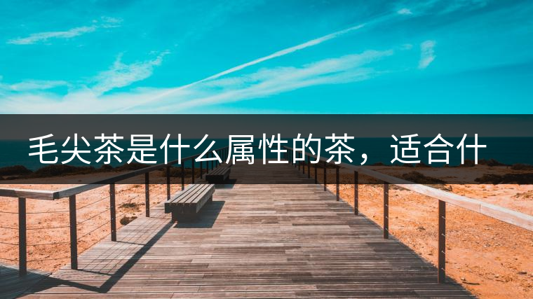 毛尖茶是什么屬性的茶，適合什么群體品飲？