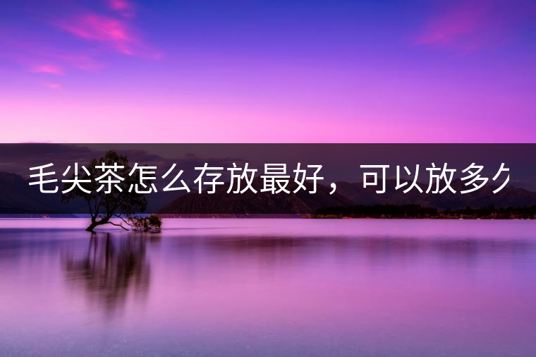 毛尖茶怎么存放最好，可以放多久？