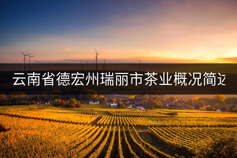 云南省德宏州瑞麗市茶業概況簡述(下篇) 云南省德宏州瑞麗市茶業概況簡述(下篇)