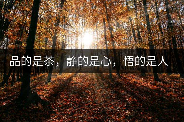 品的是茶，靜的是心，悟的是人生，滌的是靈魂