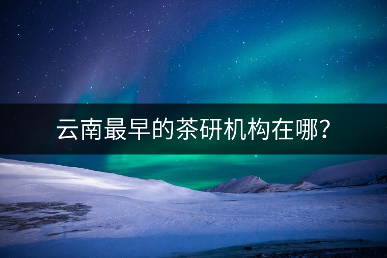 云南最早的茶研機構在哪？