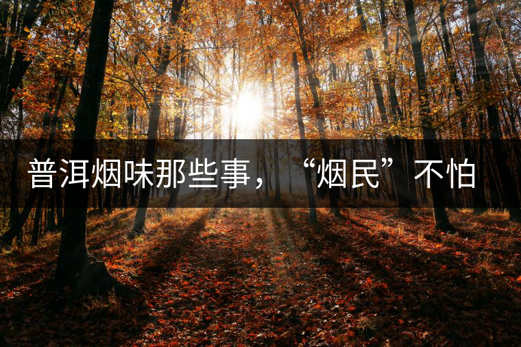 普洱煙味那些事，“煙民”不怕當