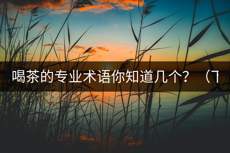 喝茶的專業術語你知道幾個？（下篇）