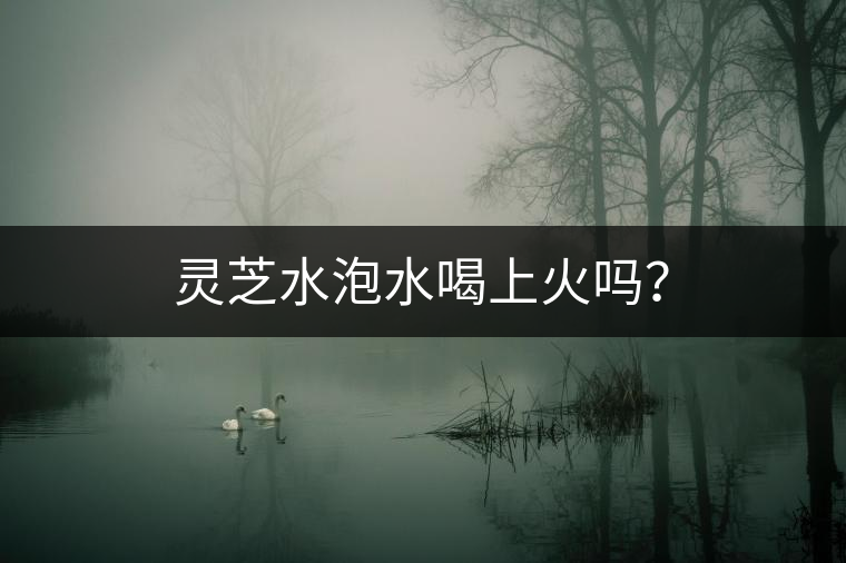 靈芝水泡水喝上火嗎? 靈芝水泡水喝上火嗎?