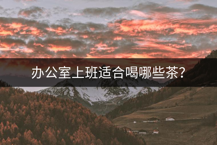 辦公室上班適合喝哪些茶？