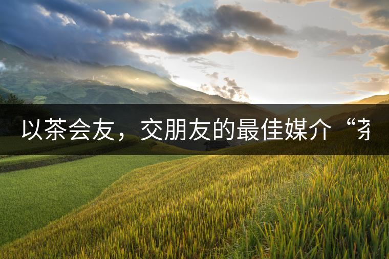 以茶會友,交朋友的最佳媒介“茶”! 以茶會友,交朋友的最佳媒介“茶”!