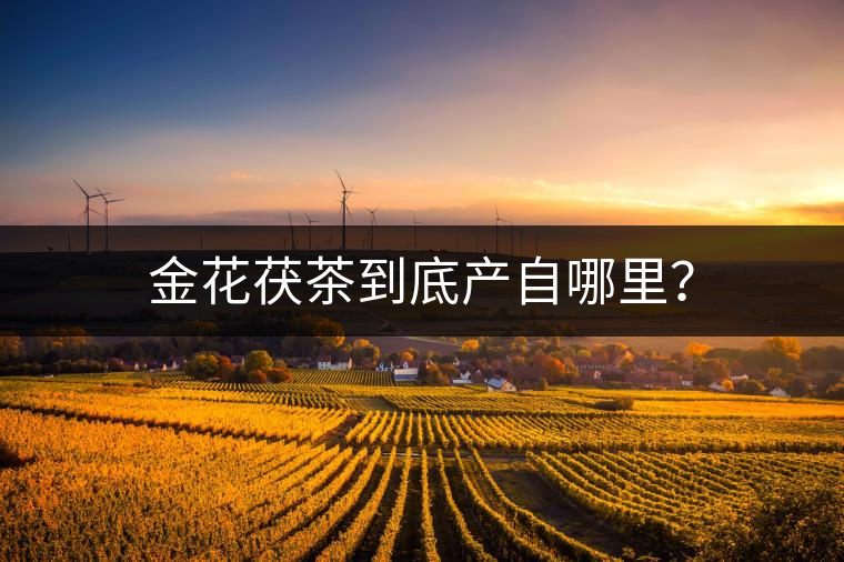 金花茯茶到底產自哪里? 金花茯茶到底產自哪里?