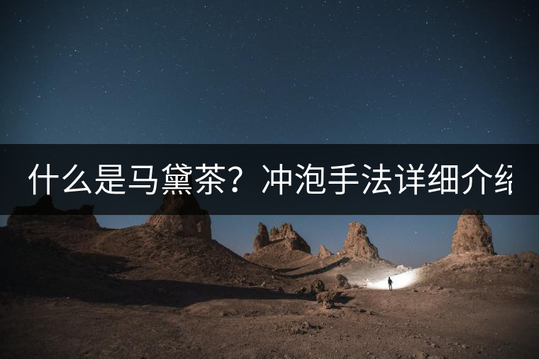 什么是馬黛茶?沖泡手法詳細介紹! 什么是馬黛茶?沖泡手法詳細介紹!