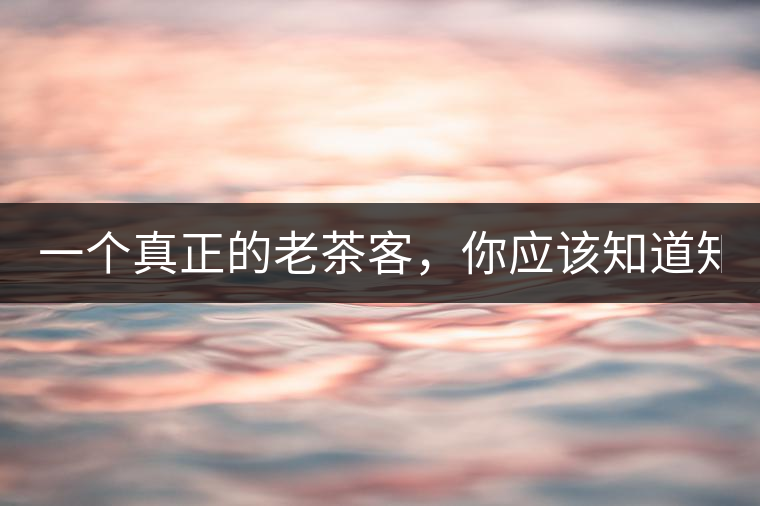 一個真正的老茶客，你應(yīng)該知道知識點！