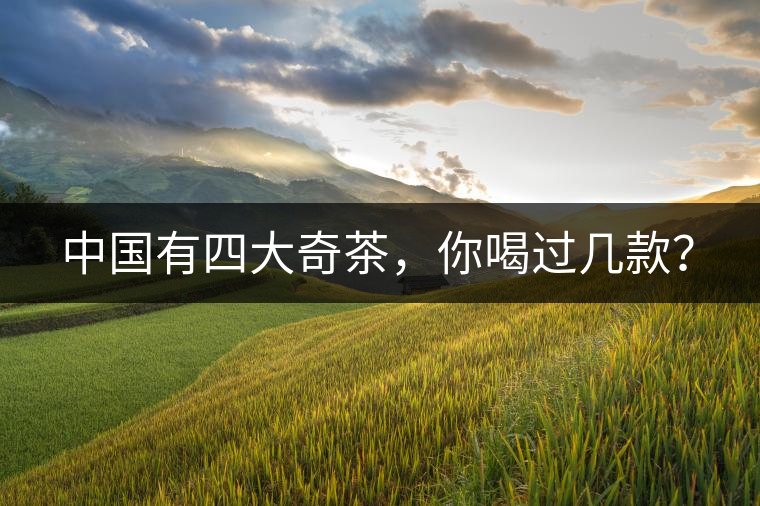 中國有四大奇茶,你喝過幾款? 中國有四大奇茶,你喝過幾款?