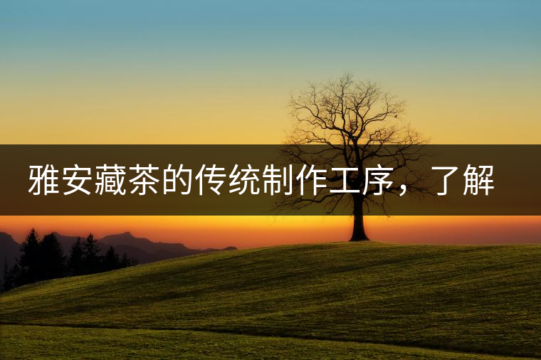 雅安藏茶的傳統制作工序,了解了傳統技藝才能更好的了解茶品! 雅安藏茶的傳統制作工序,了解了傳統技藝才能更好的了解茶品!