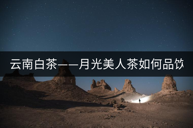 云南白茶——月光美人茶如何品飲？
