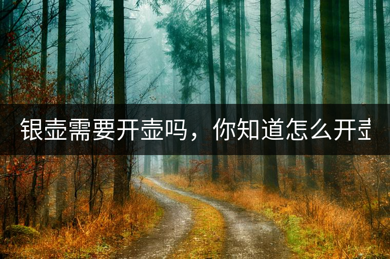 銀壺需要開壺嗎，你知道怎么開壺？