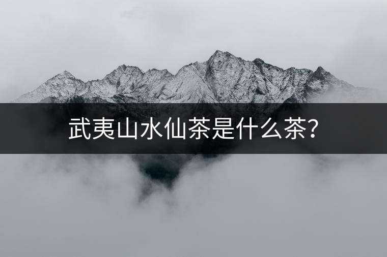武夷山水仙茶是什么茶? 武夷山水仙茶是什么茶?