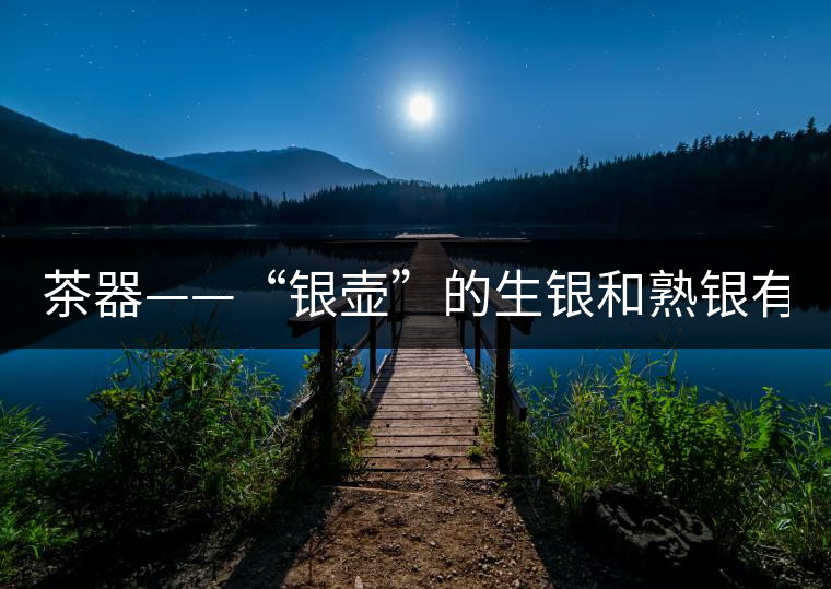 茶器——“銀壺”的生銀和熟銀有什么區(qū)別嗎? 茶器——“銀壺”的生銀和熟銀有什么區(qū)別嗎?