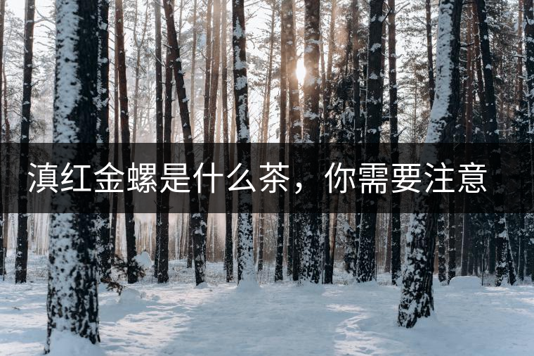 滇紅金螺是什么茶,你需要注意沖泡技巧 滇紅金螺是什么茶,你需要注意沖泡技巧