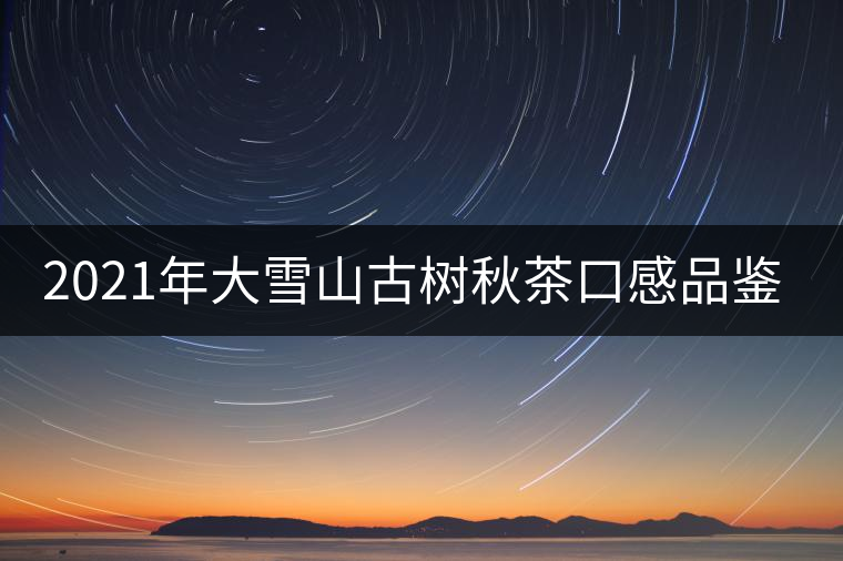 2021年大雪山古樹秋茶口感品鑒？