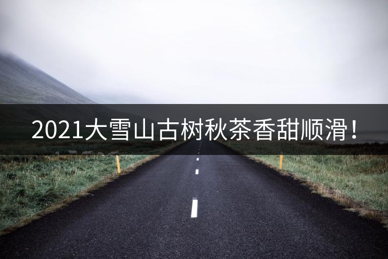 2021大雪山古樹秋茶香甜順滑! 2021大雪山古樹秋茶香甜順滑!