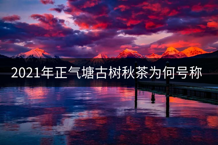 2021年正氣塘古樹秋茶為何號稱小冰島？