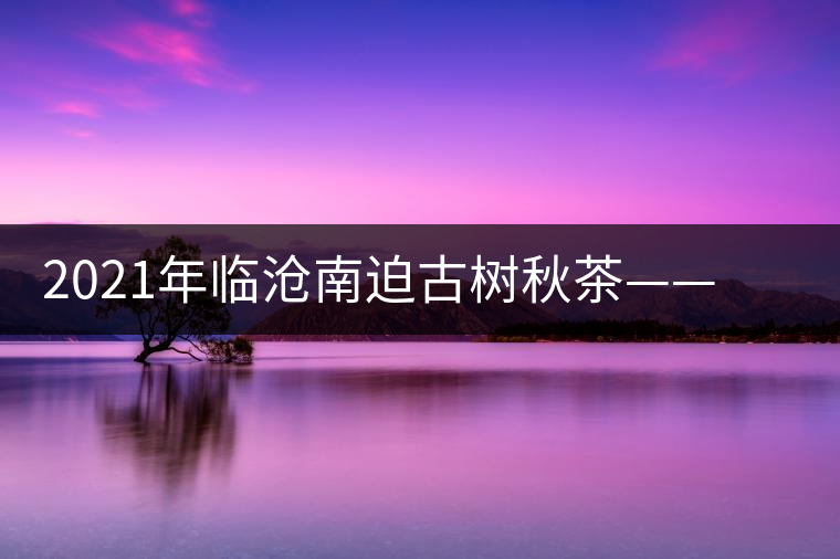 2021年臨滄南迫古樹秋茶——品質(zhì)僅次于冰島的茶山 2021年臨滄南迫古樹秋茶——品質(zhì)僅次于冰島的茶山