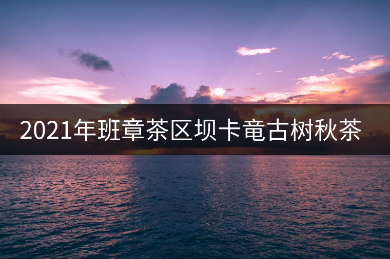 2021年班章茶區壩卡竜古樹秋茶多少錢一公斤？