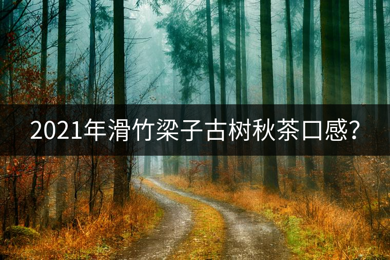 2021年滑竹梁子古樹秋茶口感? 2021年滑竹梁子古樹秋茶口感?