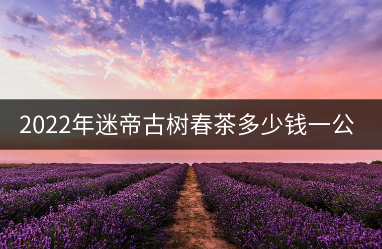 2022年迷帝古樹春茶多少錢一公斤? 2022年迷帝古樹春茶多少錢一公斤?