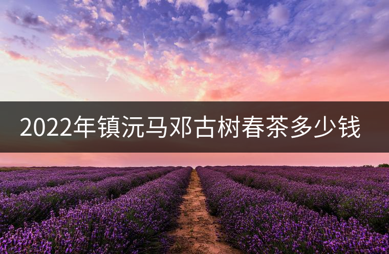 2022年鎮沅馬鄧古樹春茶多少錢一公斤？