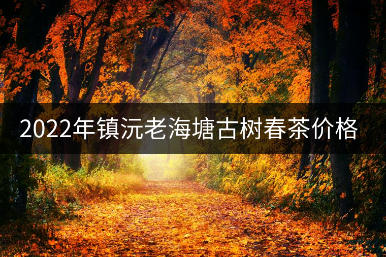 2022年鎮沅老海塘古樹春茶價格？