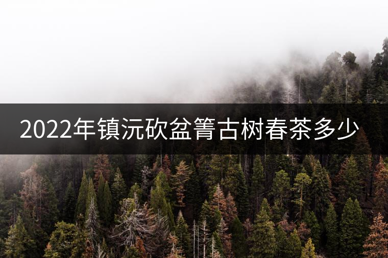 2022年鎮沅砍盆箐古樹春茶多少錢一公斤？